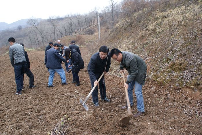 市疾控中心赴灵台县新开乡华掌村“联村联户”点开展宣传义诊并帮助群众栽植苹果树 五