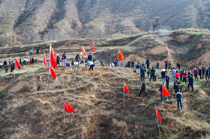 bg电子娱乐场干部职工掀起春季植树造林热潮掠影一