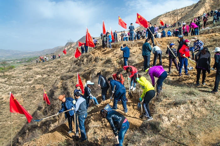 bg电子娱乐场干部职工掀起春季植树造林热潮掠影二